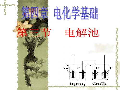 第三节 电解池2