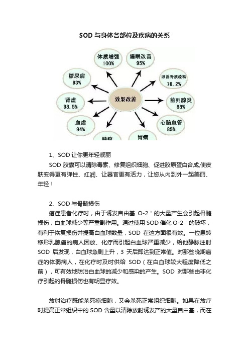 SOD与身体各部位及疾病的关系