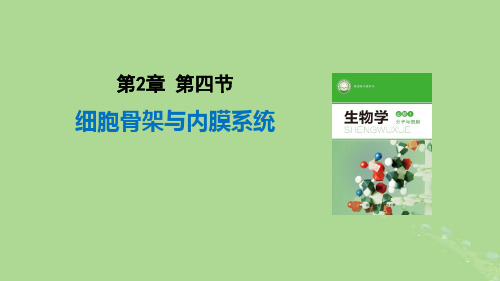 高中生物细胞骨架与内膜系统北师大版必修1