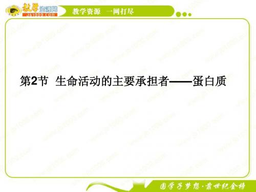 11-12学年高一生物必修1(新人教版)同步课件:2.2 生命活动的主要承担者——蛋白质