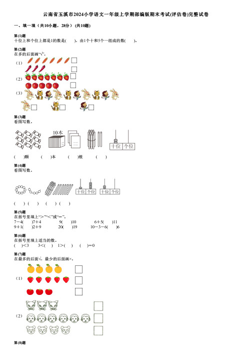 云南省玉溪市2024小学数学一年级上学期部编版期末考试(评估卷)完整试卷