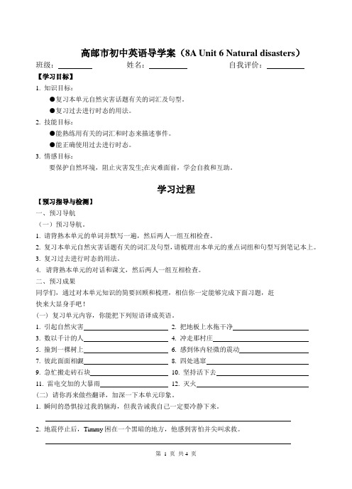 8A Unit6 复习导学案