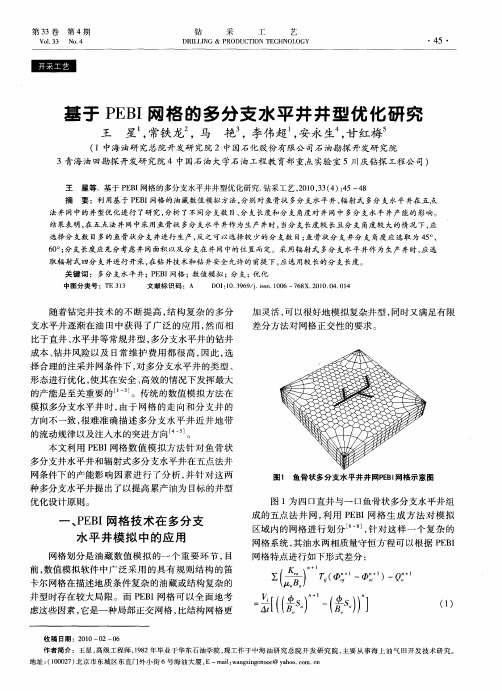 基于PEBI网格的多分支水平井井型优化研究