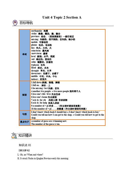 Unit 4 Topic 2 Section A 知识精讲和分层练习(学生版)