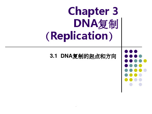 分子生物学Chapter 3 DNA 复制PPT课件