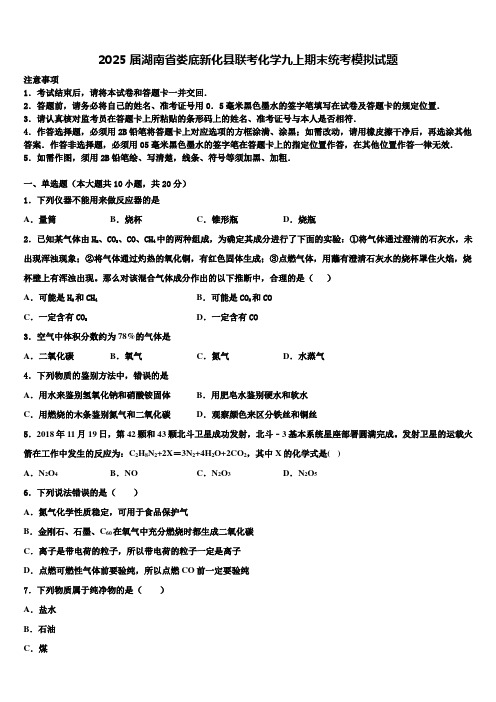 2025届湖南省娄底新化县联考化学九上期末统考模拟试题含解析