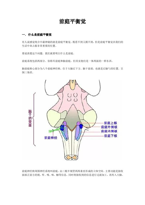 感觉统合之前庭平衡觉