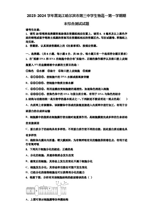 2023-2024学年黑龙江哈尔滨市第三中学生物高一第一学期期末综合测试试题含解析