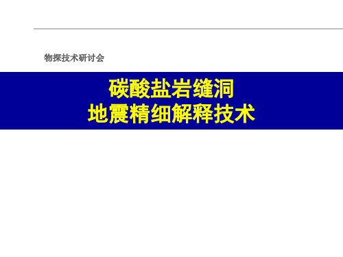 碳酸盐岩缝洞地震精细解释技术