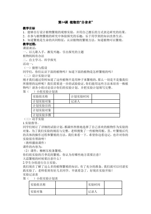 青岛版(六制)五年级下册优秀教案 植物的“分身术”