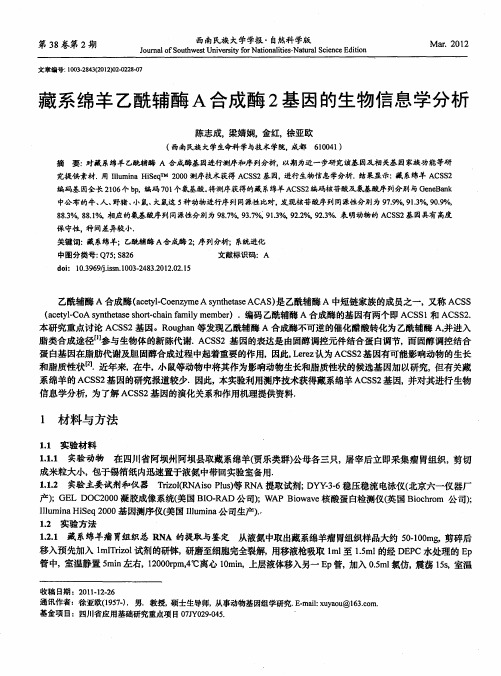 藏系绵羊乙酰辅酶A合成酶2基因的生物信息学分析