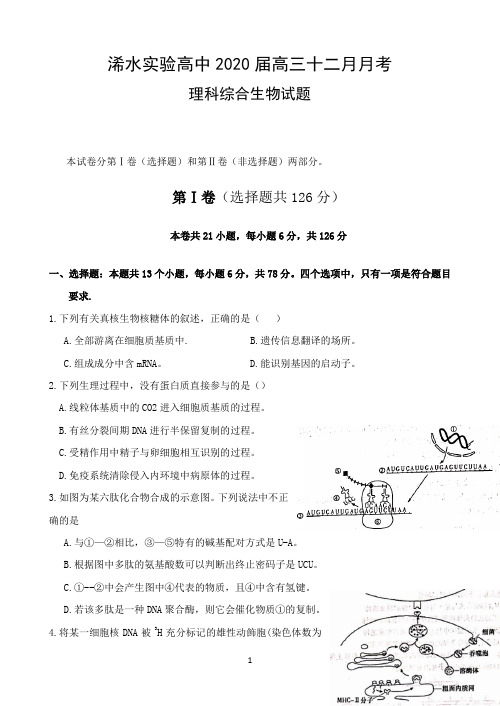 湖北省浠水实验高中2020届高三上学期12月月考理科综合-生物试题 Word版含答案