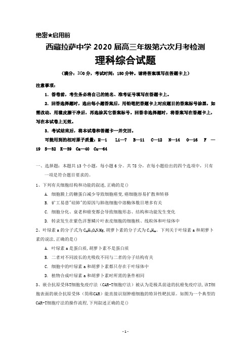 2020届西藏拉萨中学高三年级第六次月考理科综合试题及答案(缺生物答案)