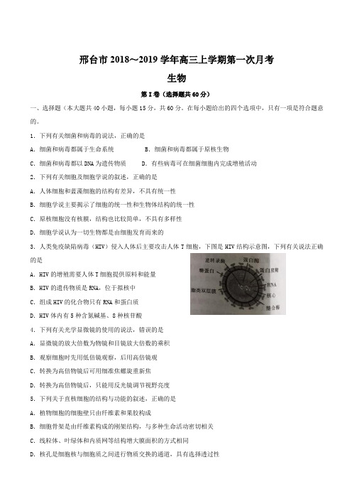 河北省邢台市2019届高三上学期第一次月考生物试题(含答案)