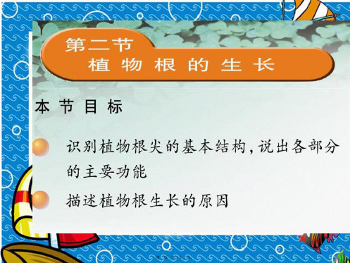 七年级生物上册《52 植物根的生长》课件