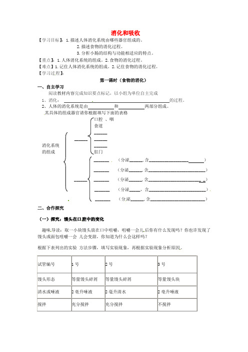 七年级生物下册 第二章 第二节 消化和吸收导学案 新人教版