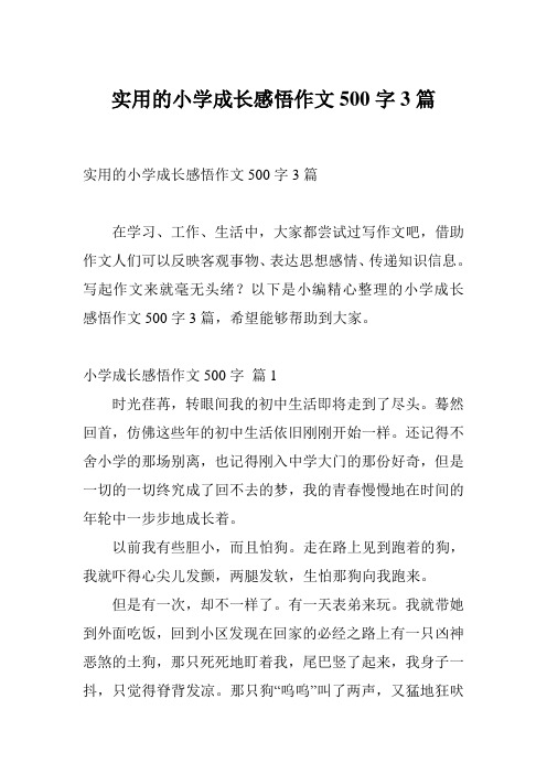 实用的小学成长感悟作文500字3篇