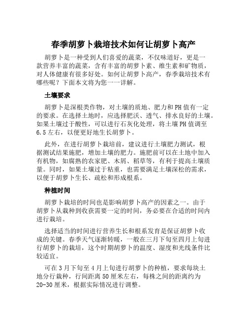 春季胡萝卜栽培技术如何让胡萝卜高产