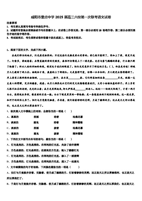 咸阳市重点中学2025届高三六校第一次联考语文试卷含解析