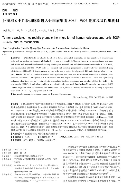 肿瘤相关中性粒细胞促进人骨肉瘤细胞SOSP-9607迁移及其作用机制