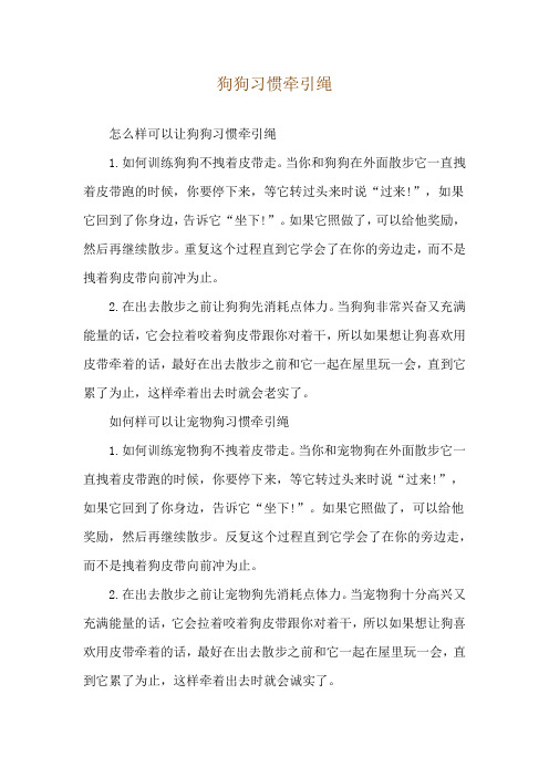 狗狗习惯牵引绳