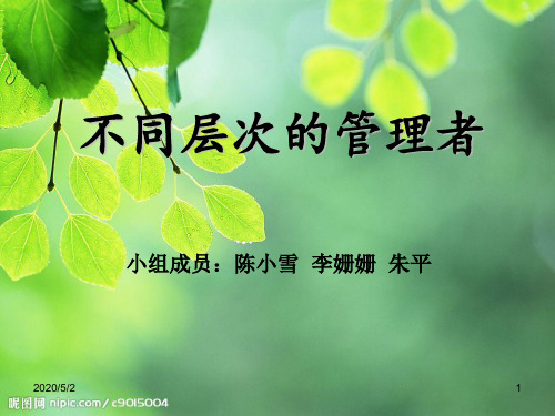 不同层次的管理者.ppt