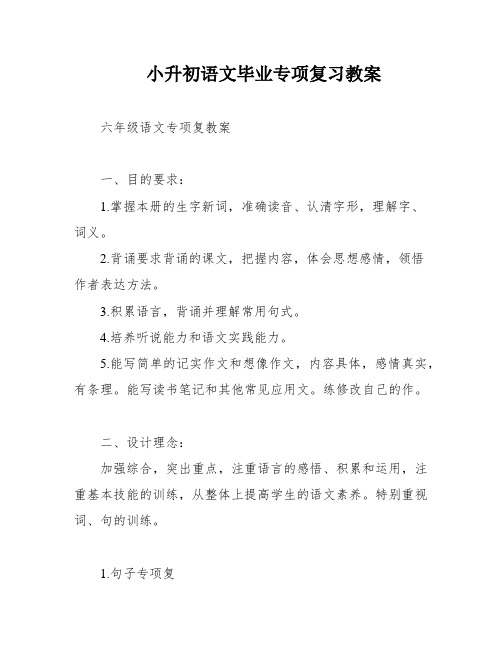 小升初语文毕业专项复习教案