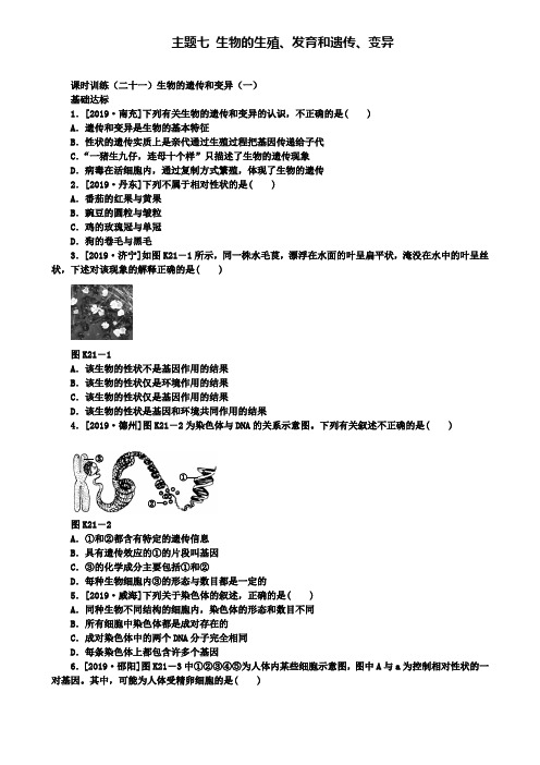 (含五套中考试卷)北京专版重点名校中考方案(21)生物的遗传和变异(一)作业手册(含答案)
