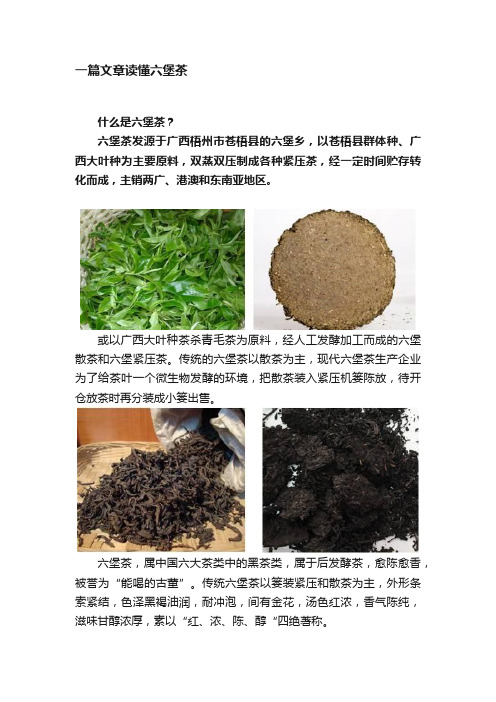 一篇文章读懂六堡茶