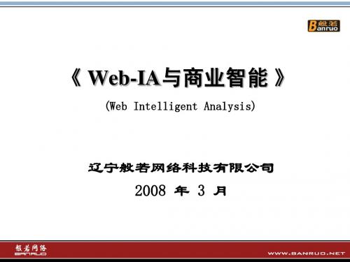 Web-IA与商业智能介绍