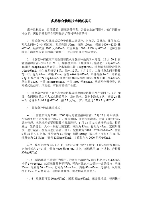 多熟综合栽培技术新的模式