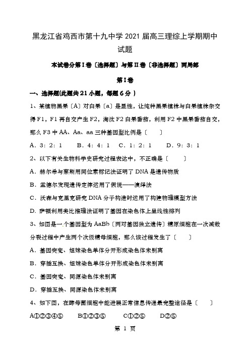 黑龙江省鸡西市第十九中学高三理综上学期期中试题