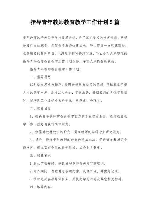 指导青年教师教育教学工作计划5篇