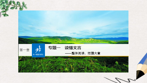 全国2018版高考语文大一轮复习古诗文阅读第一章文言文阅读专题一读懂文言课件