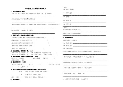 五年级语文下册期中重点复习