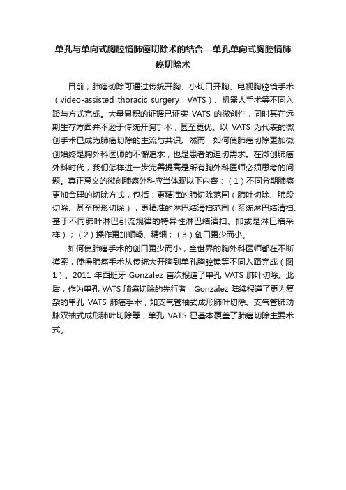 单孔与单向式胸腔镜肺癌切除术的结合—单孔单向式胸腔镜肺癌切除术