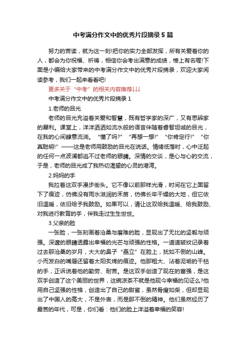 中考满分作文中的优秀片段摘录5篇