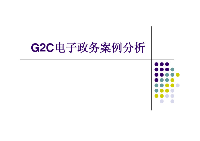 G2C电子政务案例分析