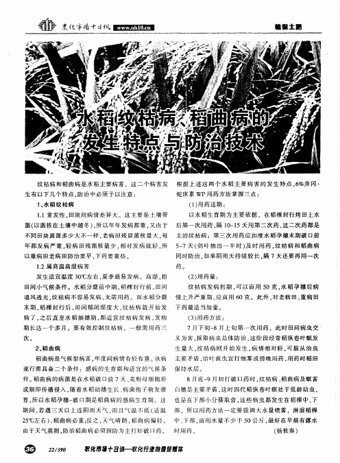 水稻纹枯病、稻曲病的发生特点与防治技术