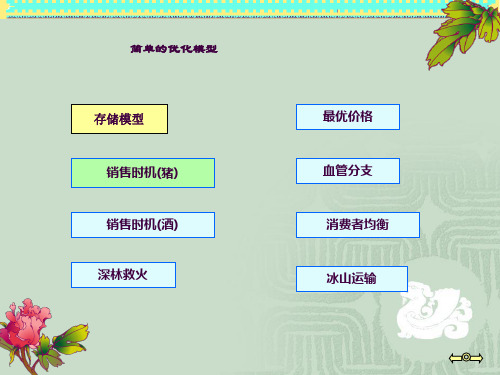 3静态优化模型ppt课件