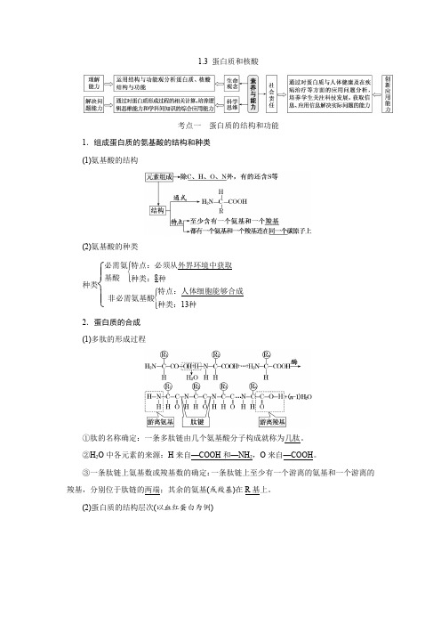 1-3 蛋白质和核酸