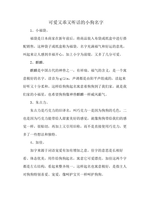 可爱又乖又听话的小狗名字