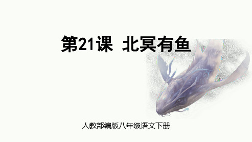 人教部编版八年级语文下册《北冥有鱼》PPT课件