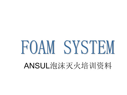 1.FOAM SYSTEM-培训