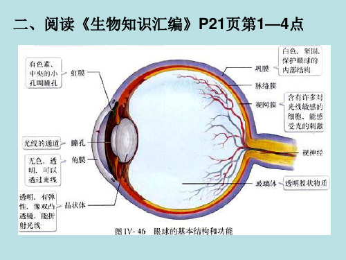 科学技术社会角膜移植角膜捐献和人造角膜5.ppt