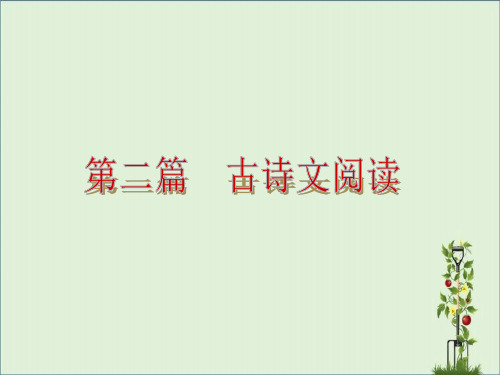 中考语文专题复习PPT课件12：古诗词鉴赏