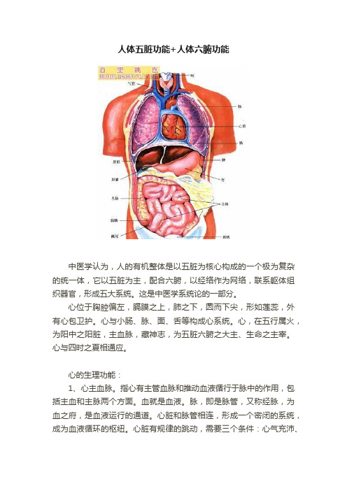 人体五脏功能+人体六腑功能