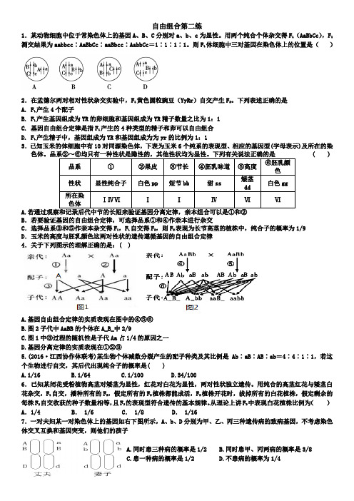 人教版必修二1.2自由组合定律第二练练习试题