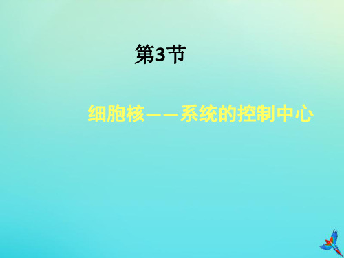 2019-2020学年高中生物第3章第3节细胞核-系统的控制中心课件新人教版必修1