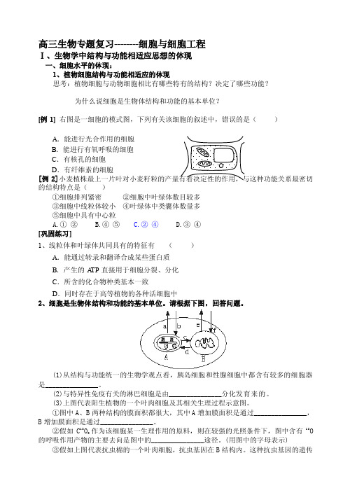 生物学中结构与功能相适应思想的体现[技巧]